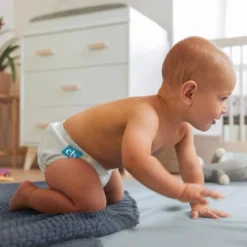 Charlie Banana One Size Reusable Cloth Diaper -Love To Dream Baby Shop GUEST 00122f18 e13b 488d 96b6 1956d6aec51c