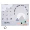 Lambs & Ivy Star Wars The Child/Grogu/Baby Yoda Fleece Milestone Blanket W/ Star