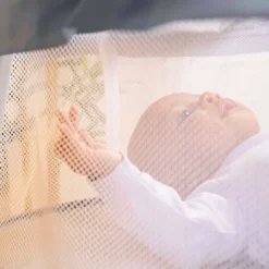 Bright Starts Disney Baby Winnie The Pooh Soothing Baby Bassinet - Slumber Party 19 Bright Starts Disney Baby Winnie The Pooh Soothing Baby Bassinet - Slumber Party -Love To Dream Baby Shop GUEST 1a668770 99c0 4a74 a007 2fa3c4c493ce