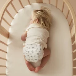 Millie Moon Disposable Overnight Diapers -Love To Dream Baby Shop GUEST 47f5a34b ea16 44f0 a836 63e07199d9b3