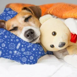 KeaBabies Toddler Pillow With Pillowcase, 13X18 Soft Organic Cotton Toddler Pillows For Sleeping, Kids Travel Pillow Age 2-5 -Love To Dream Baby Shop GUEST 63ec1dd8 b8f4 4d96 a112 6ca0c496def0