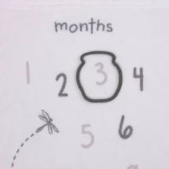 Disney Baby Classic Pooh Milestone Blanket -Love To Dream Baby Shop GUEST 6dcf4956 b977 4ea7 82e7 22e1e03aac98