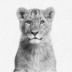 Black And White Nursery Safari - 4 Piece Framed Gallery Wall Set - Americanflat With Mat -Love To Dream Baby Shop GUEST 710eec6d b866 4e9f a3eb 5ca77fcf531c