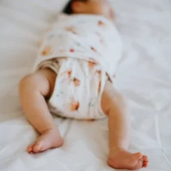 Embe Transitional Swaddle Wrap Out -Love To Dream Baby Shop GUEST ab41b607 3778 454c 940e 71144b806e9f