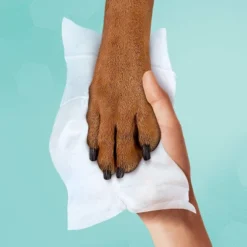 Pampers® Pampers Multi-Use Baby Wipes (Select Count) 12 Pampers® Pampers Multi-Use Baby Wipes (Select Count) -Love To Dream Baby Shop GUEST ae3c826e 8f46 4d5a a707 fc047fa58e58