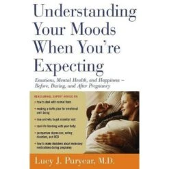 Understanding Your Moods When You're Expecting - By Lucy J Puryear (Paperback)