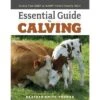 Essential Guide To Calving - By Heather Smith Thomas (Paperback) -Love To Dream Baby Shop GUEST b4195125 2bb5 4953 a30b 913032e6ecb6