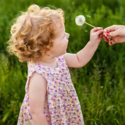 Similac Pure Bliss Non-GMO Powder Toddler Formula - 24.7oz 15 Similac Pure Bliss Non-GMO Powder Toddler Formula - 24.7oz -Love To Dream Baby Shop GUEST c5d2d238 d557 4d8f a48b 9a1836f751e4